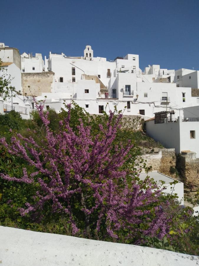 Micasa Im Zentrum Von Vejer 贝赫尔-德拉弗龙特拉 外观 照片
